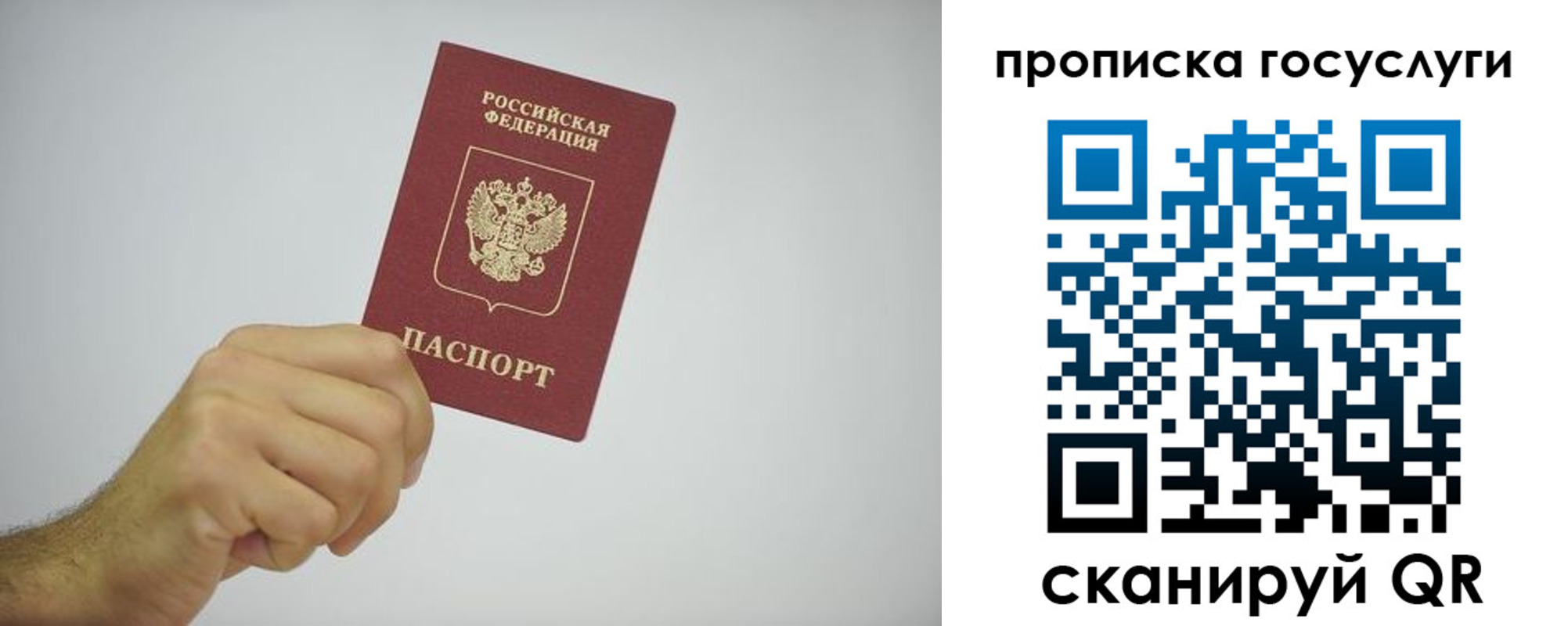 прописка законно в Вольске